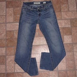 BKE Buckle Payton Jeans